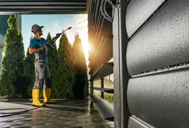 Best Solar Panel Cleaning  in Ida Grove, IA